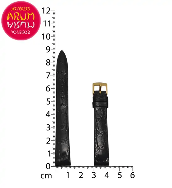 Z Patek Philippe Strap with Buckle 18K Gold 12mm RAC58