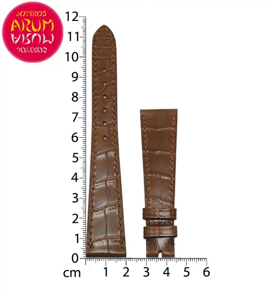 Z Patek Philippe Strap Crocodile Leather 20-14 RAC1123