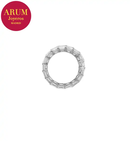 anilloraj2314-5